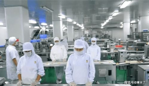 食品廠霉菌控制與互聯網銷售的安全管理策略